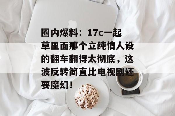 圈内爆料：17c一起草里面那个立纯情人设的翻车翻得太彻底，这波反转简直比电视剧还要魔幻！